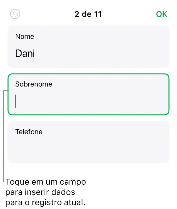 Um registro em um formulário mostrando um campo ativo com um ponto de inserção.