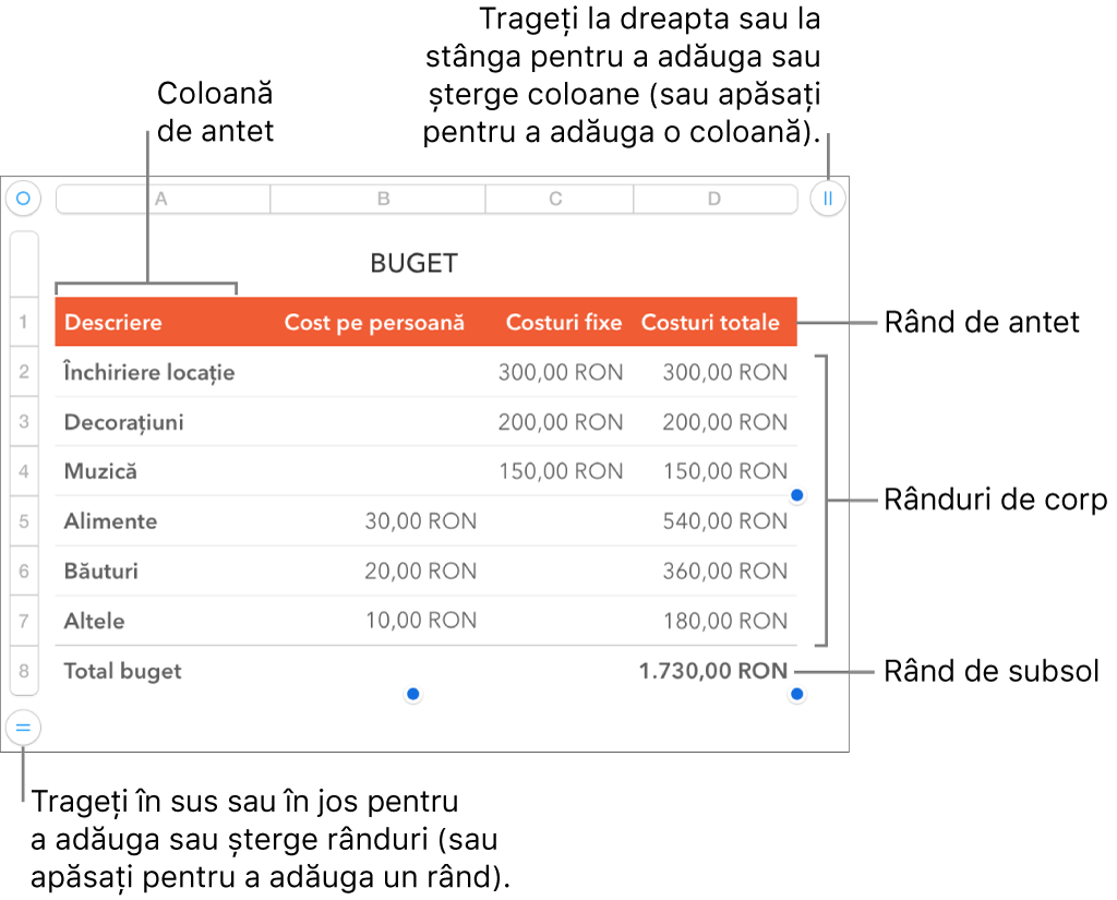 Un tabel, cu rânduri și coloane pentru antet, corp și subsol și mânere pentru adăugarea sau ștergerea rândurilor sau coloanelor.