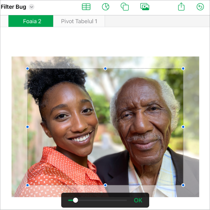 Imagine care arată cum se utilizează o mască pentru a decupa o poză.