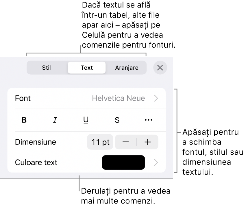 Comenzi text din meniul Format pentru configurarea paragrafelor și a stilurilor, fonturilor, dimensiunii și culorii caracterelor.