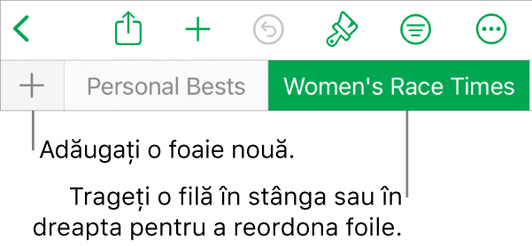 Bara de file pentru adăugarea unei foi noi, navigarea, reordonarea și reorganizarea foilor.