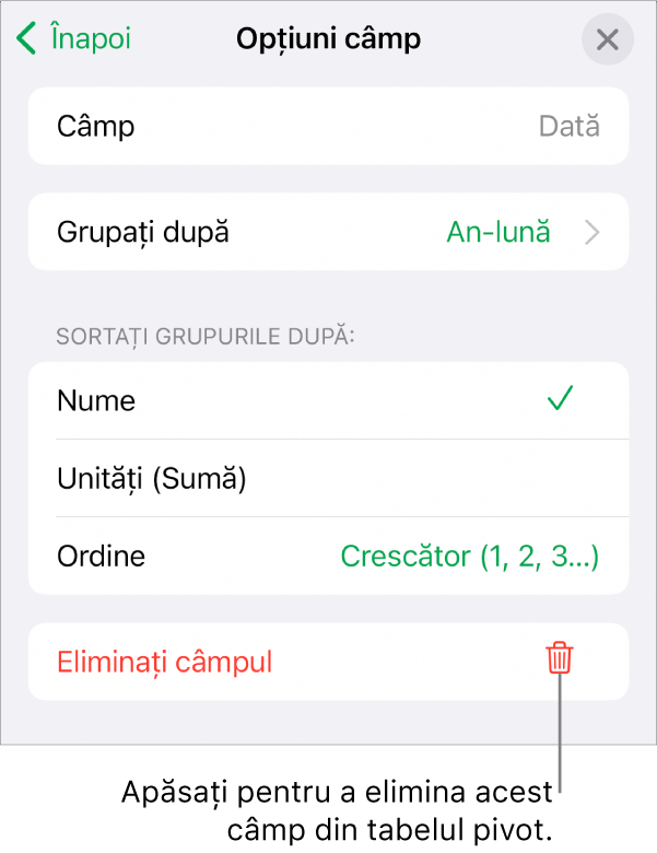 Meniul Opțiuni câmp afișând comenzile pentru gruparea și sortarea datelor și opțiunea de eliminare a unui câmp.