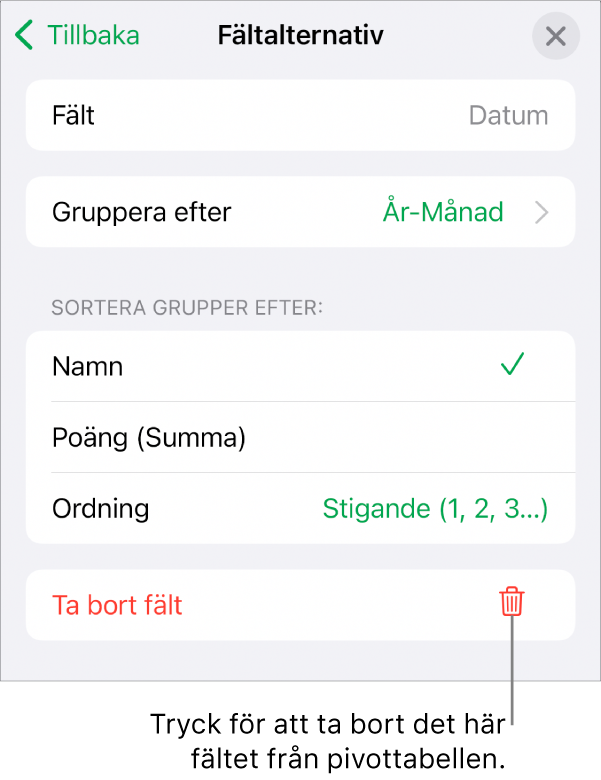 Menyn Fältalternativ visar reglage för att gruppera och sortera data samt alternativet att ta bort ett fält.