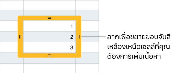 เซลล์ที่เลือกอยู่ที่มีเส้นขอบสีเหลืองขนาดใหญ่ ซึ่งคุณสามารถลากเพื่อป้อนเซลล์อัตโนมัติได้