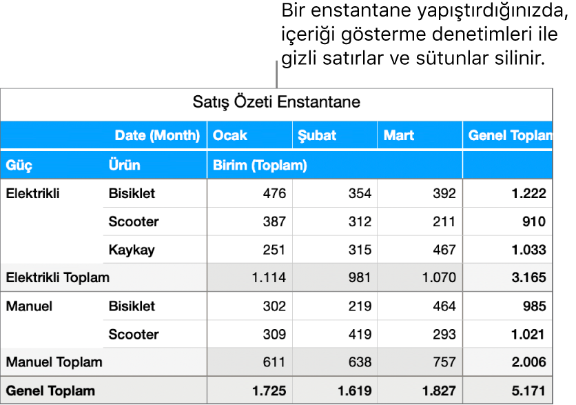 Özet tablo enstantanesi.