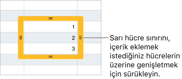 Hücreleri otomatik doldurmak için sürükleyebileceğiniz büyük sarı sınırlı seçili bir hücre.