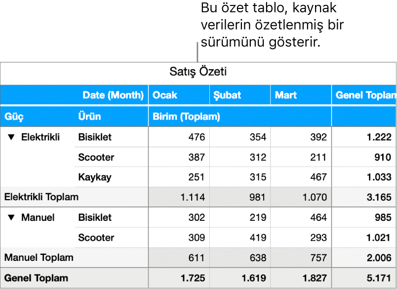 Bisiklet, scooter ve kaykay için özetlenmiş verilerle bazı verileri açıklama denetimlerini gösteren bir özet tablo.