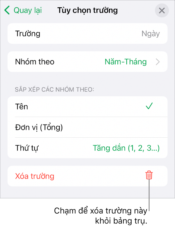 Menu Tùy chọn trường, đang hiển thị các điều khiển để nhóm và sắp xếp dữ liệu cũng như tùy chọn để xóa trường.