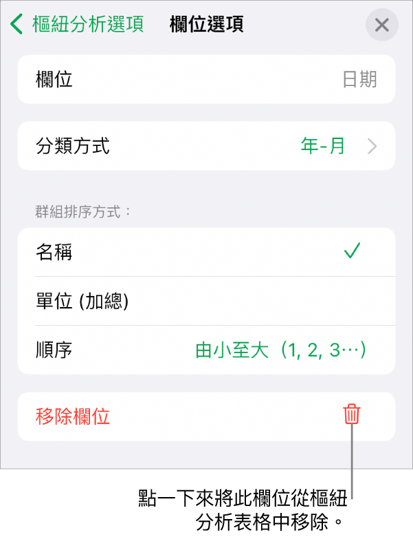 「欄位選項」選單，其顯示群組和排序資料的控制項目，以及移除欄位的選項。