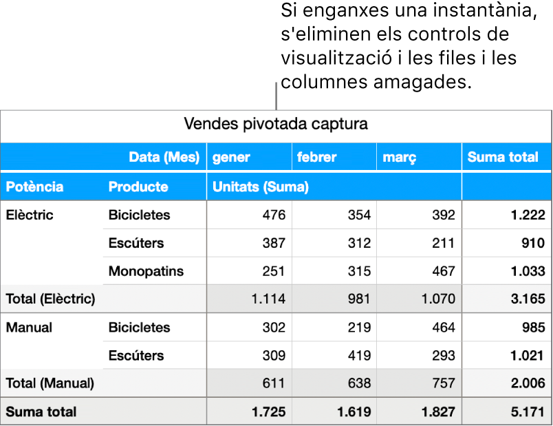 Instantània d’una taula dinàmica.