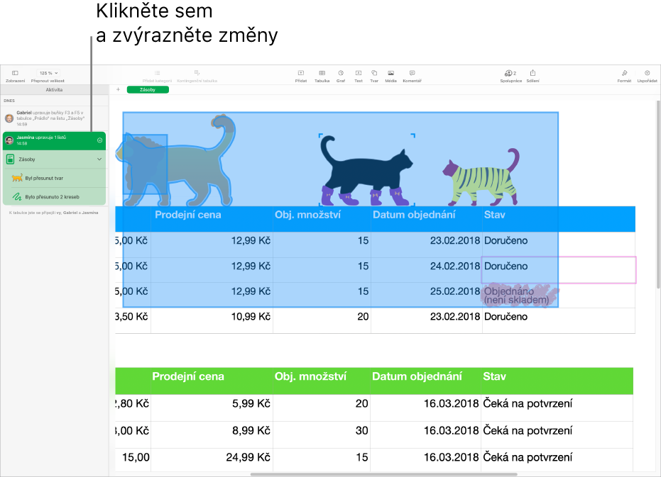 Sdílený dokument s otevřenou nabídkou pro spolupráci a otevřeným seznamem aktivit