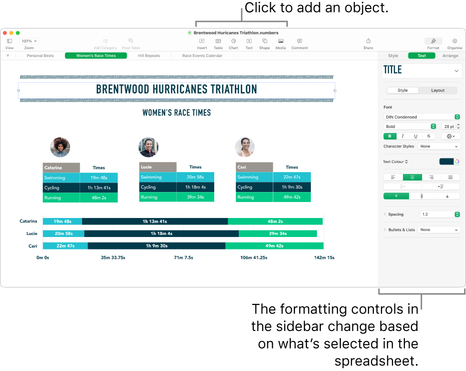 The Numbers window with the Text tab of the Format sidebar open.