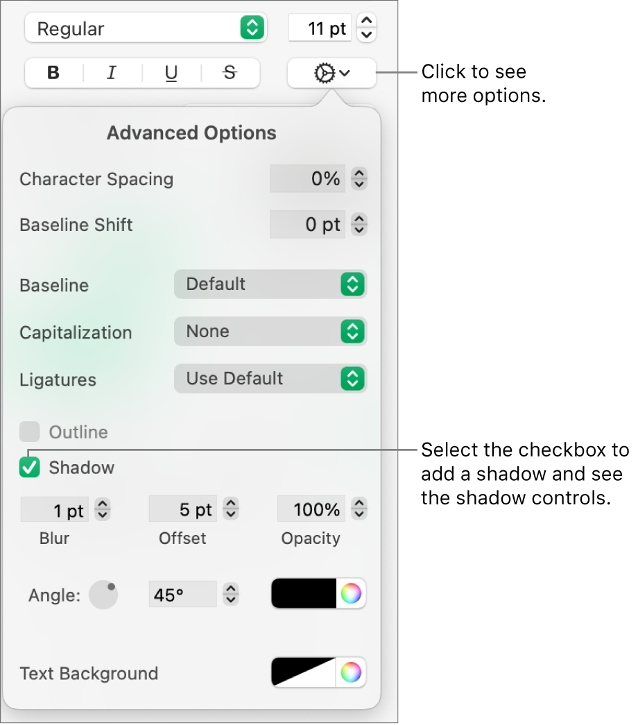 The More Text Options menu open with the Shadows checkbox selected and controls for setting blur, offset, opacity, angle, and color.