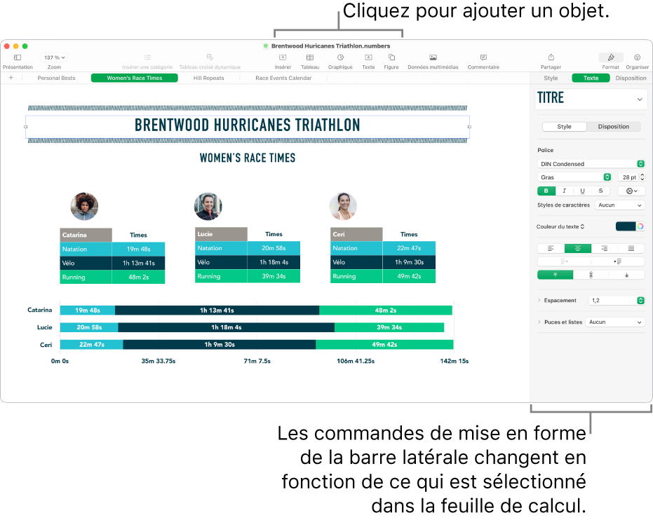 La fenêtre de Numbers avec l’onglet Texte de la barre latérale Format ouvert.