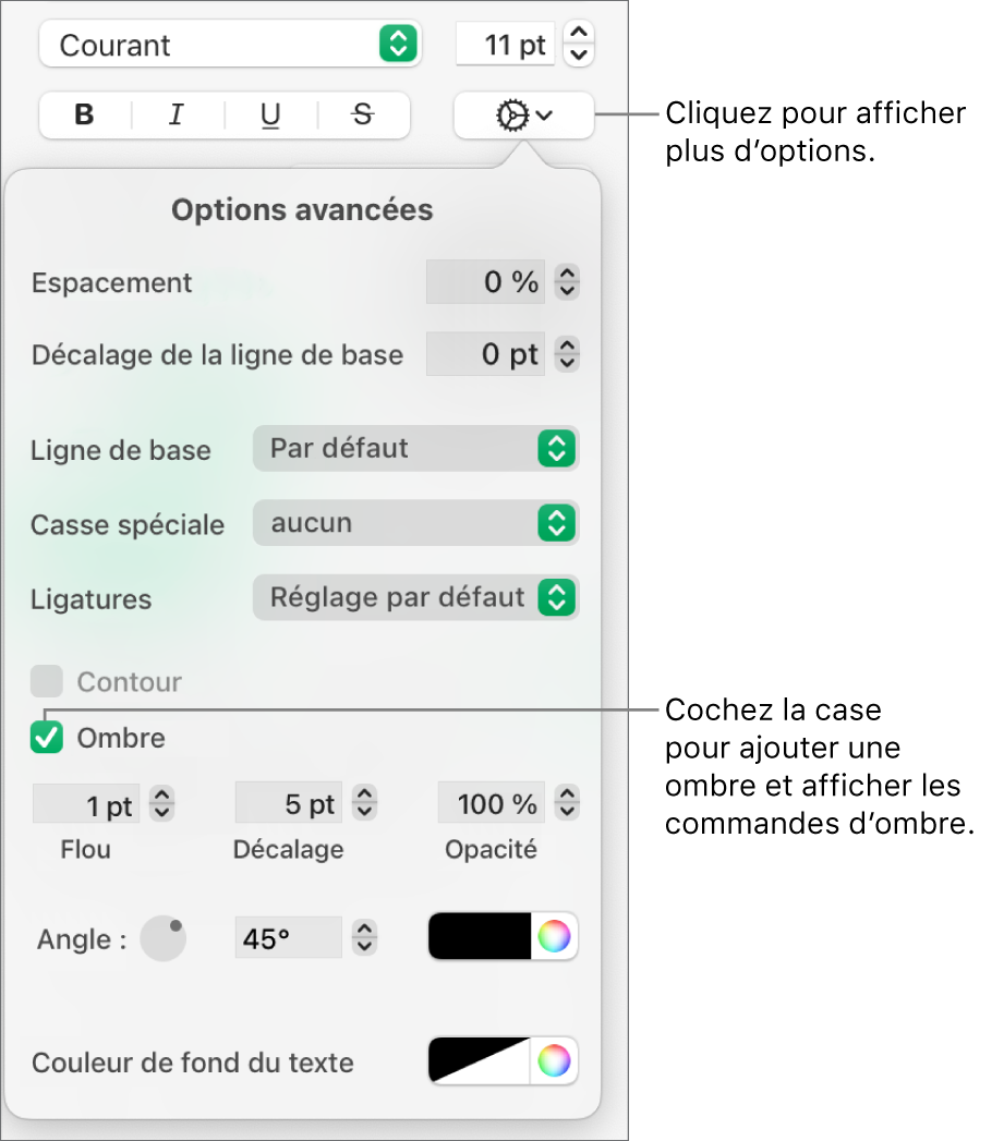 Le menu Plus d’options de texte avec la case Ombres cochée et les commandes pour définir le flou, le décalage, l’opacité, l’angle et la couleur.