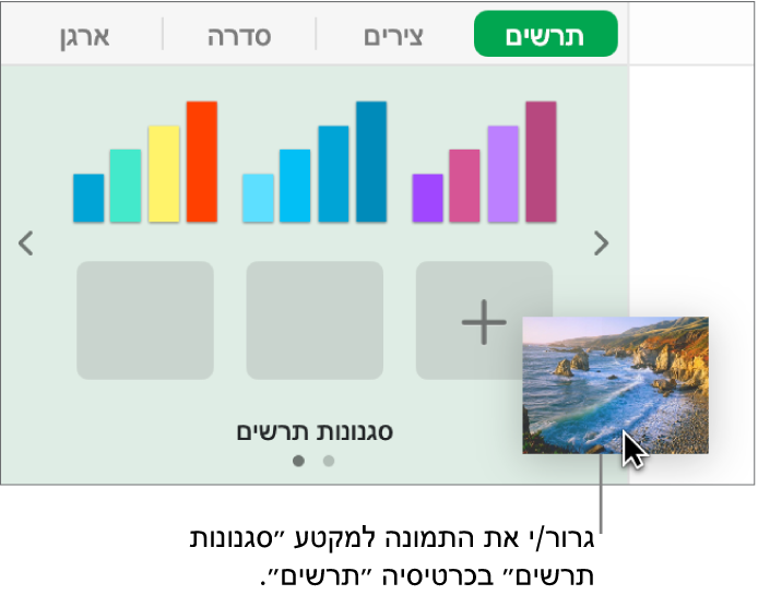 גרירת תמונה אל אזור סגנונות התרשים בסרגל הצד כדי ליצור סגנון חדש.