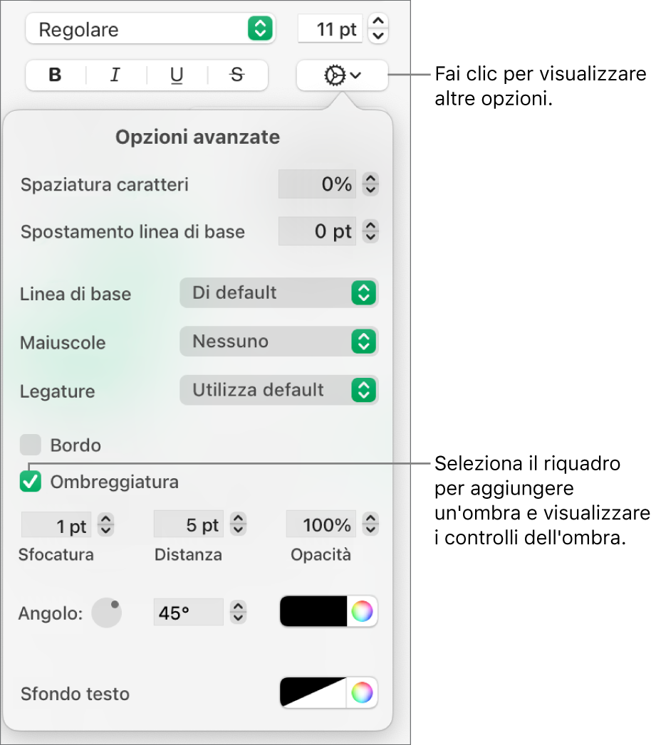 Il menu Altre opzioni di testo aperto con il riquadro Ombre selezionato e i controlli per impostare la sfocatura, l'offset, l'opacità, l'angolazione e il colore.