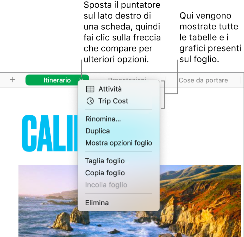 Pannello del foglio di calcolo con il menu di scelta rapida aperto e le opzioni, incluso il comando Duplica.