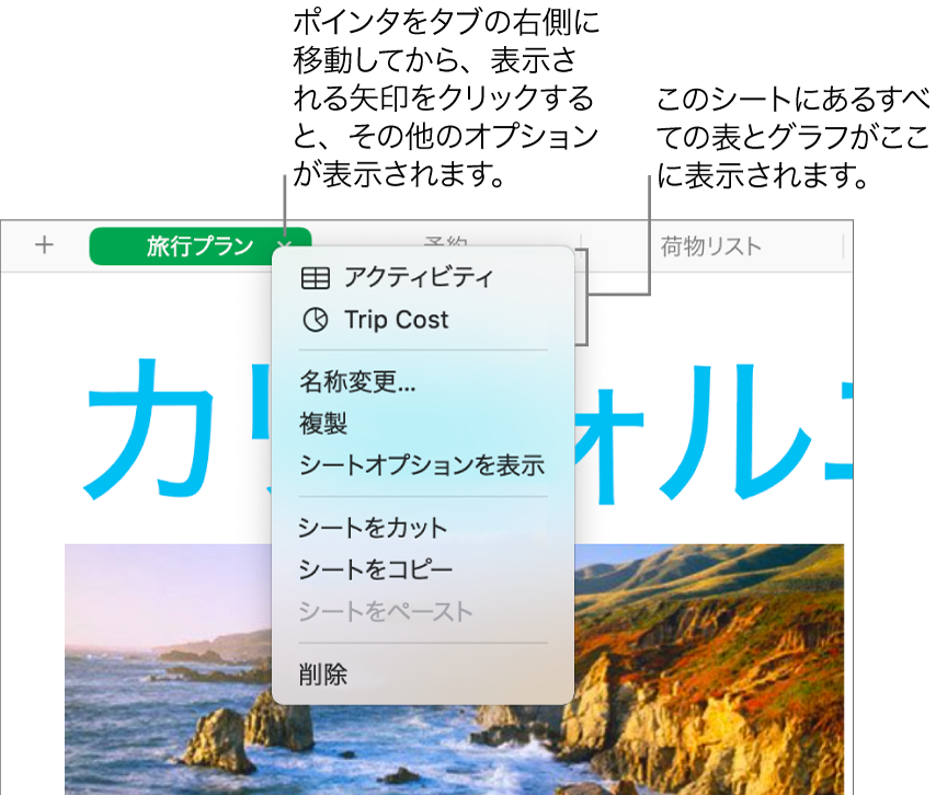 スプレッドシートタブのショートカットメニューが開き、「複製」を含む複数のオプションが表示された状態。