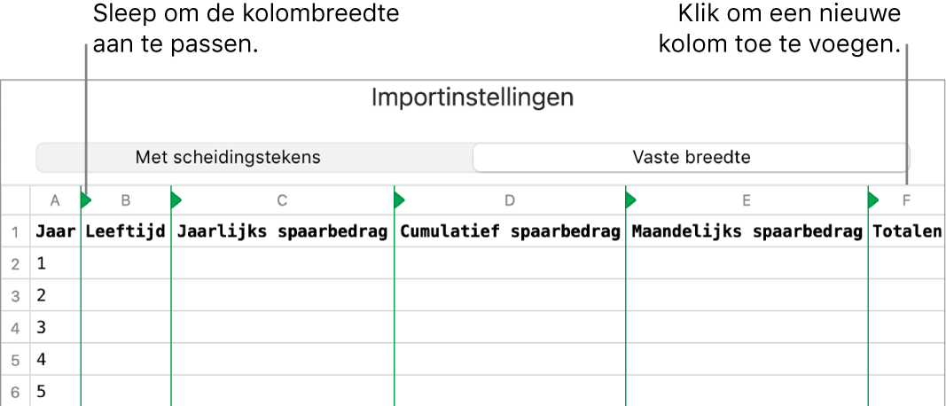 De importinstellingen voor een tekstbestand met vaste breedte.