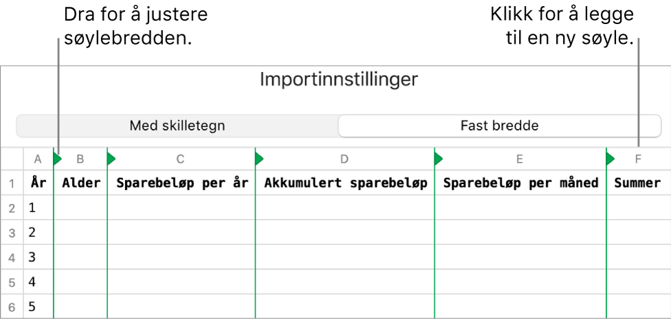 Importinnstillingene for en tekstfil med fast bredde.