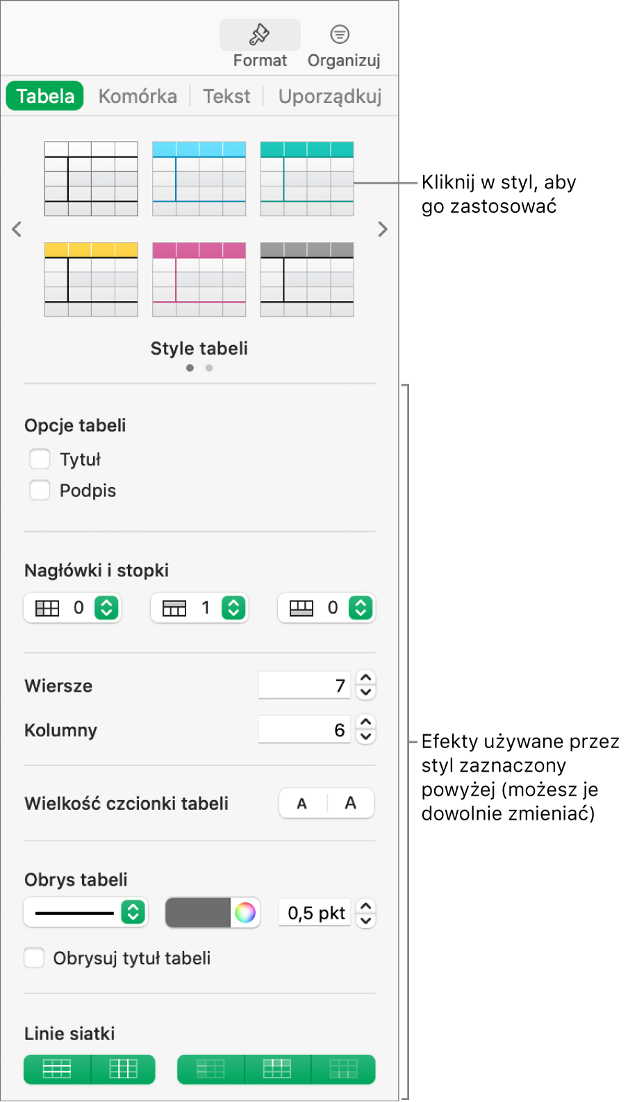 Pasek boczny Format ze stylami tabeli i opcjami formatowania.