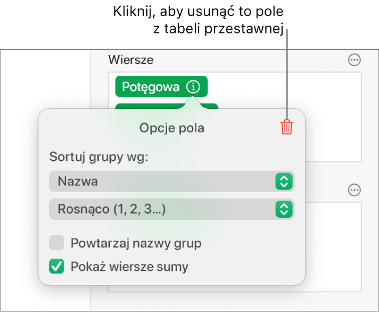 Menu Opcje pola pokazujące narzędzia grupowania i sortowania danych, a także opcja usuwania pola.