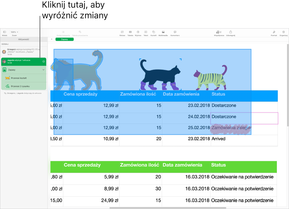 Dokument współpracy z otwartym menu współpracy i listą aktywności.