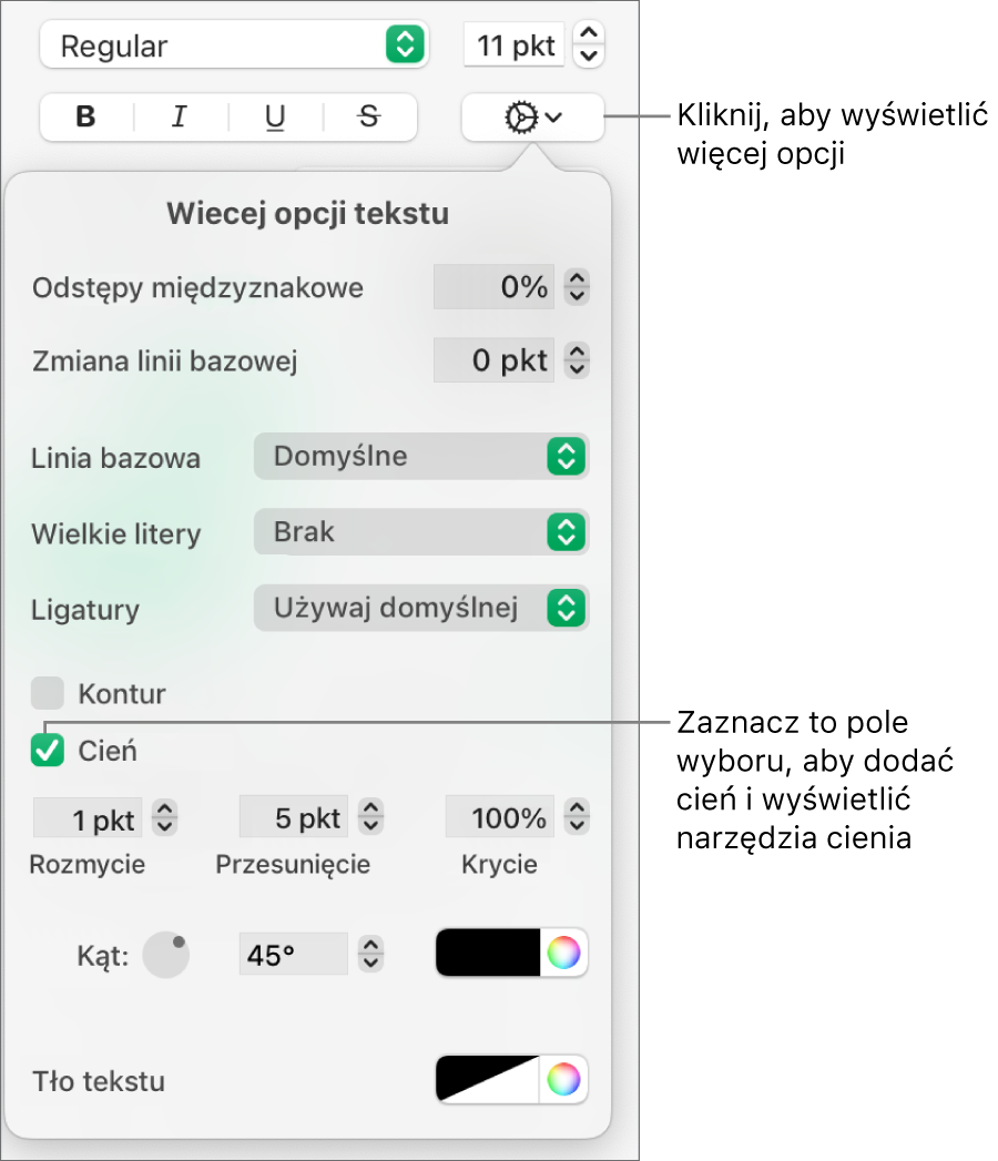 Rozwinięte menu Więcej opcji tekstu z zaznaczonym polem wyboru Cienie i narzędziami do ustawiania rozmycia, przesunięcia, krycia, kąta oraz koloru.