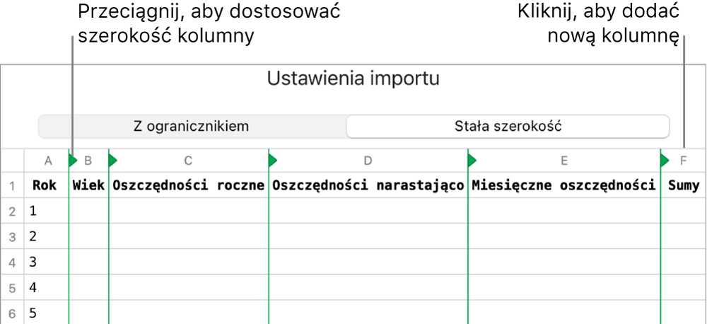 Ustawienia importowania pliku tekstowego o stałej szerokości.