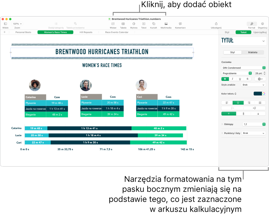 Okno Numbers z kartą Tekst na pasku bocznym Format.