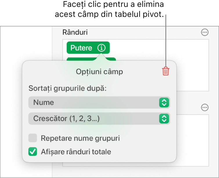 Meniul Opțiuni câmp afișând comenzile pentru gruparea și sortarea datelor și opțiunea de eliminare a unui câmp.