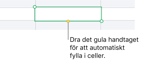 En markerad cell med ett gult handtag du kan dra för att autofylla celler.