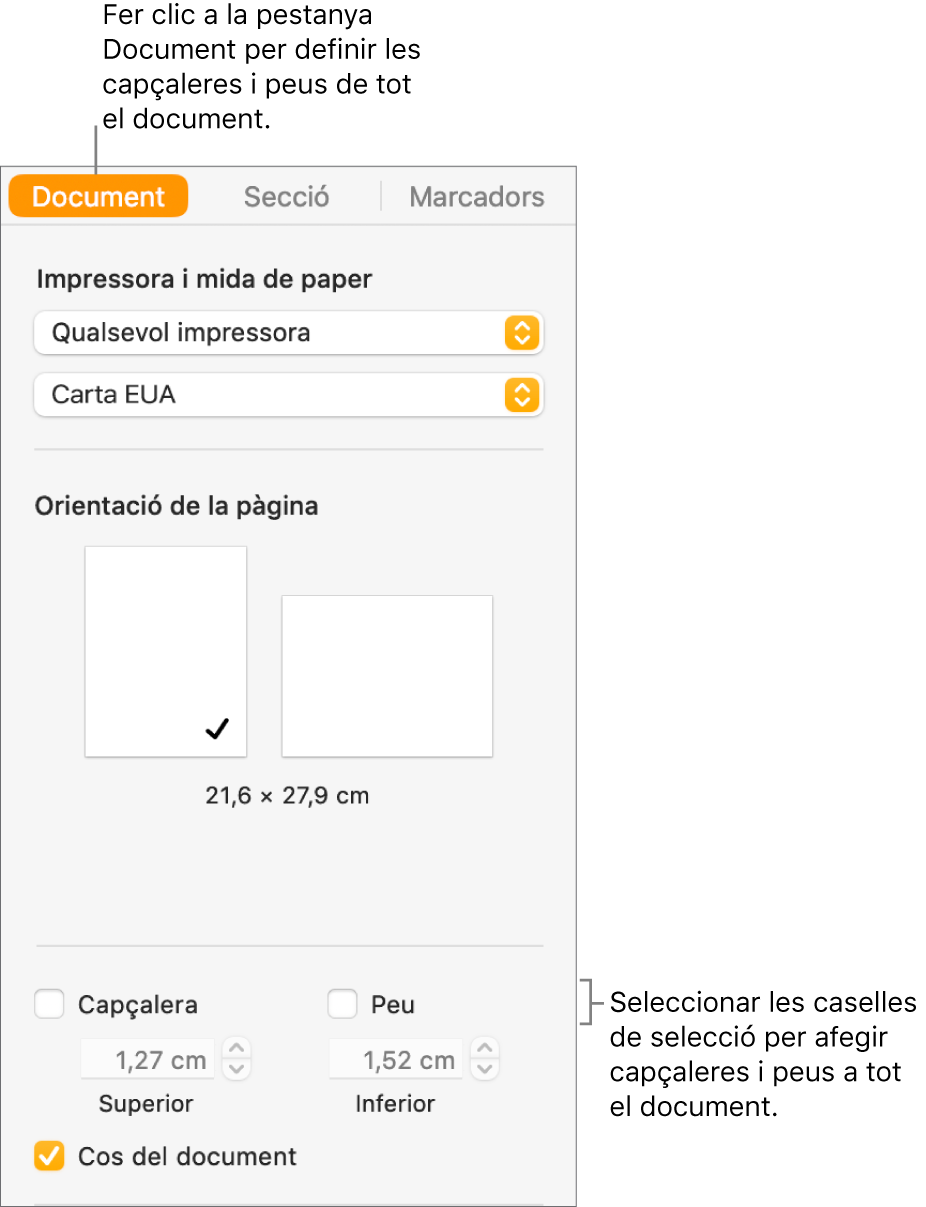 La barra lateral Document amb la pestanya Document a la part superior de la barra lateral seleccionada. A sota de les caselles de selecció Capçalera i Peu es mostren unes fletxes per modificar la distància de les capçaleres i dels peus respecte a la part superior i inferior de la pàgina