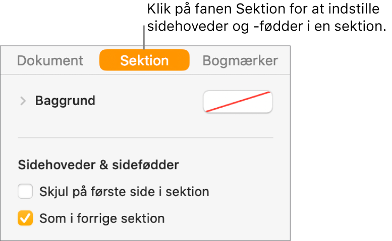 Indholdsoversigten Dokument, hvor fanen Sektion øverst i indholdsoversigten er valgt. Sidehoveder & sidefødder i indholdsoversigten med afkrydsningsfelter ud for “Skjul på første side i sektion” og “Som i forrige sektion”.