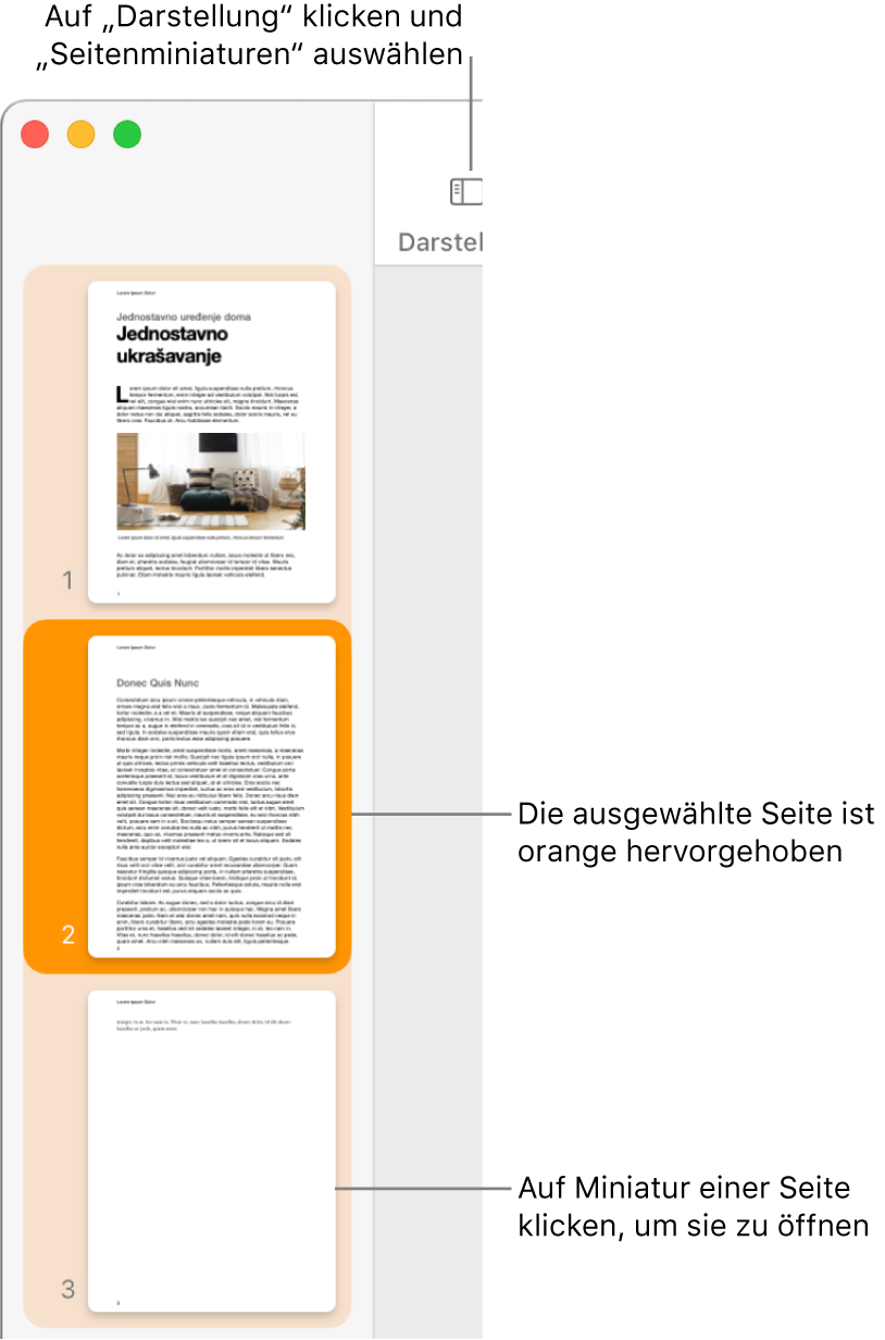 Die Seitenleiste links im Fenster „Pages“ mit der geöffneten Miniaturdarstellung der Seiten und der dunkelorange hervorgehobenen Miniatur der aktuell ausgewählten Seite.