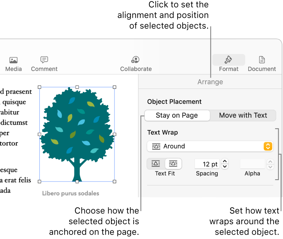 The Format menu with the Arrange sidebar displayed. The Object Placement settings are at the top of the Arrange sidebar with the Text Wrap settings below.