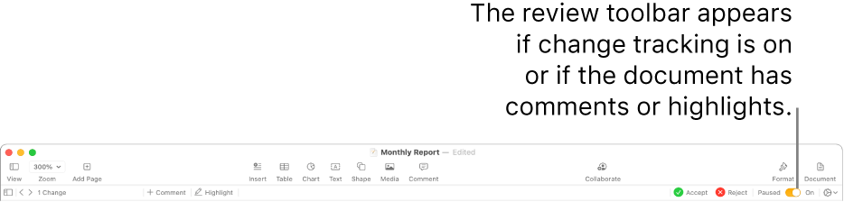 The Pages toolbar with change tracking turned on and the review toolbar below the Pages toolbar.