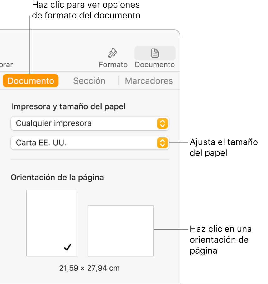 La barra lateral Documento con la pestaña Documento de la parte superior seleccionada. En la barra lateral hay un menú desplegable para ajustar el tamaño del papel y botones para la orientación vertical u horizontal.