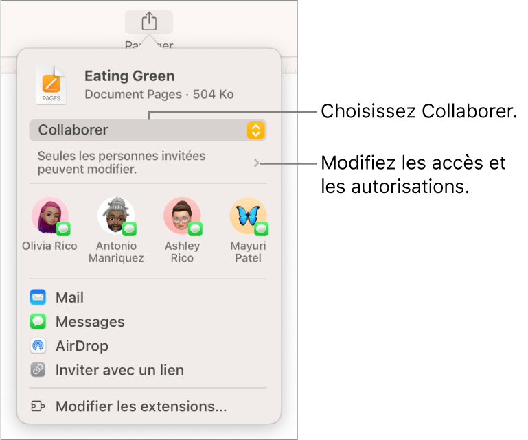 La zone de dialogue de collaboration.