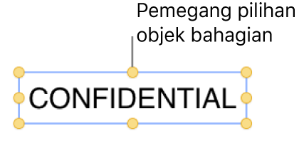Objek dengan pemegang pilihan.