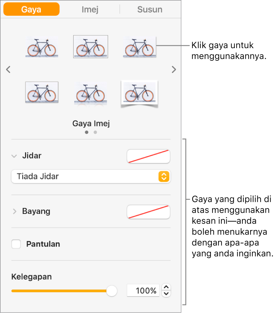 Tab Gaya pada bar sisi Format menunjukkan pilihan gaya objek.