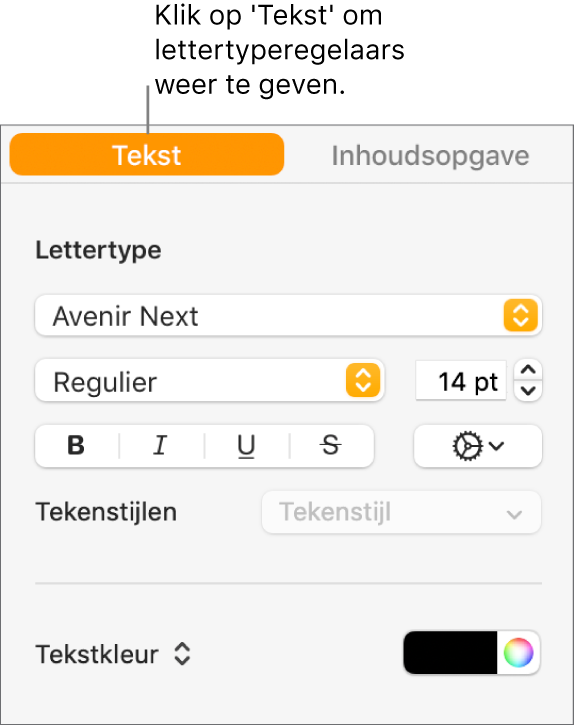 Het tabblad 'Tekst' in de navigatiekolom 'Opmaak' met regelaars voor het wijzigen van het lettertype en de lettergrootte en voor het toevoegen van tekenstijlen.