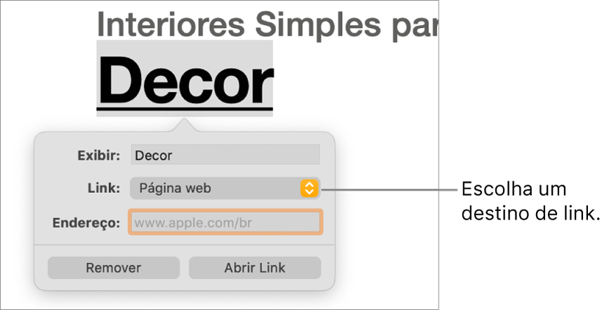 Controles do editor de links com o campo Exibir, o menu local Link (definido como Página web) e o campo Link. O botão Remover e o botão Abrir Link estão na parte inferior dos controles.