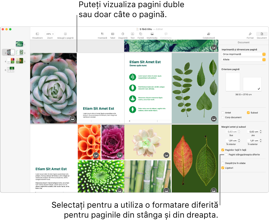 Fereastra Pages cu miniaturile paginilor și paginile documentului afișate ca pagini duble. În bara laterală Document din dreapta, caseta de dialog „Pagini stânga/dreapta diferite” este neselectată.