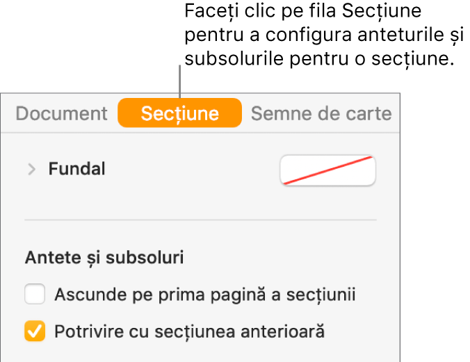 Bara laterală Document cu fila Secțiune selectată în partea de sus a barei laterale. Secțiunea Anteturi și subsoluri din bara laterală are casete de validare lângă “Ascunde pe prima pagină a secțiunii și “Potrivire cu secțiunea anterioară”.