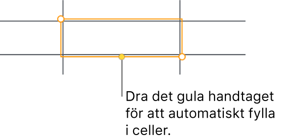 En markerad cell med ett gult handtag du kan dra för att autofylla celler.