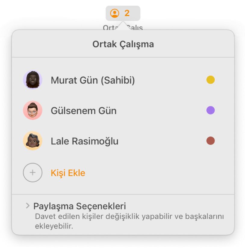 Belgede ortak çalışan kişilerin adlarını gösteren Ortak Çalışma menüsü. Paylaşma seçenekleri adların altındadır.