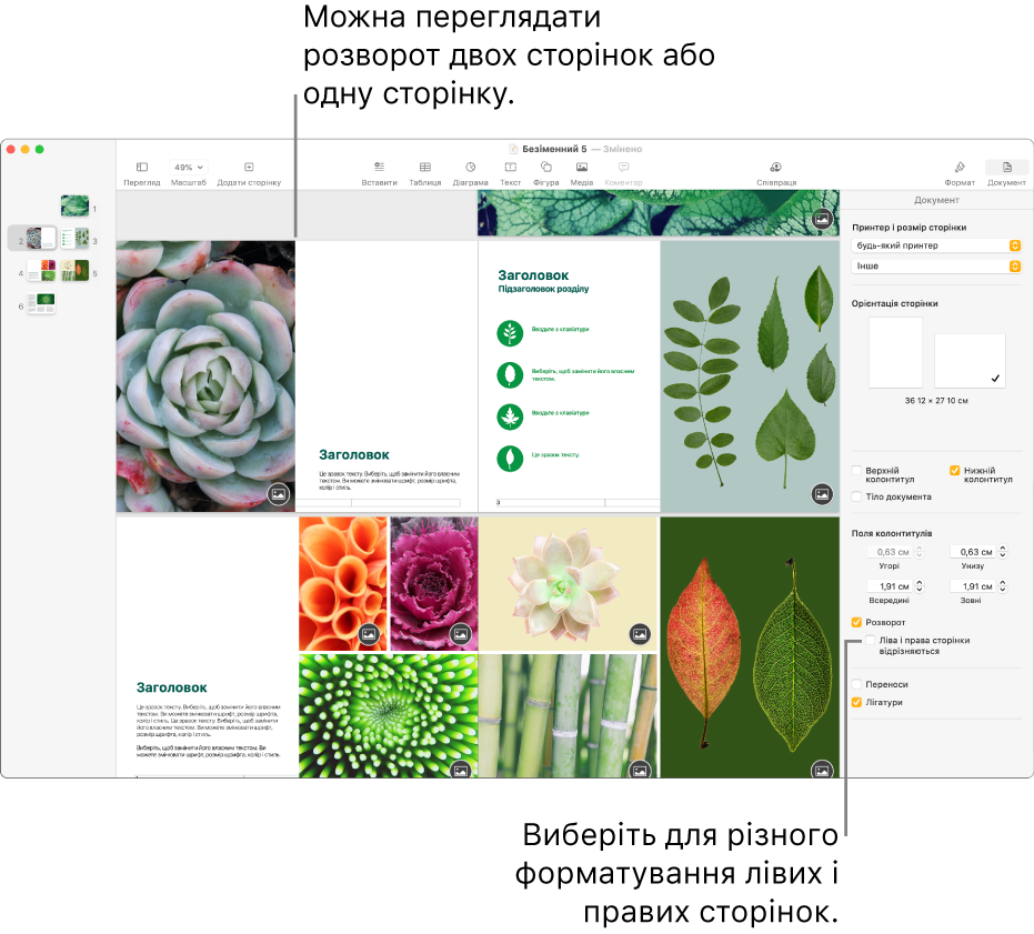 Вікно Pages з мініатюрами сторінок і сторінками документа у вигляді розвороту. На боковій панелі «Документ» справа вимкнено опцію «Ліва і права сторінки відрізняються».