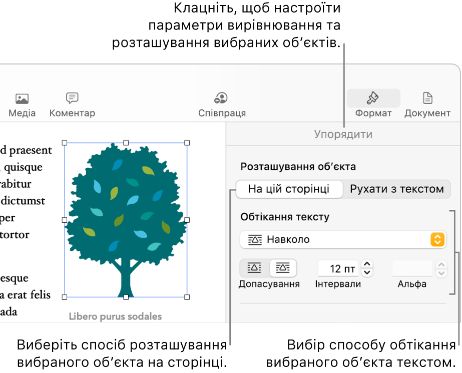 Меню «Формат», відображається бокова панель «Порядок». Угорі бічної панелі «Порядок» відображається налаштування «Розташування об’єкта», а нижче «Обтікання текстом».